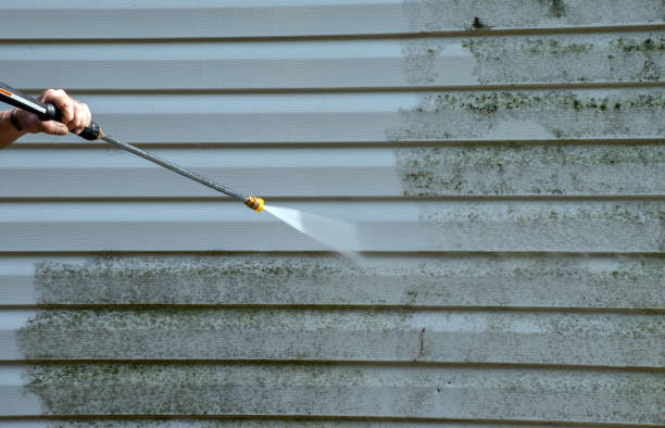 Professional  Pressure Washing Services in Raymond, MS