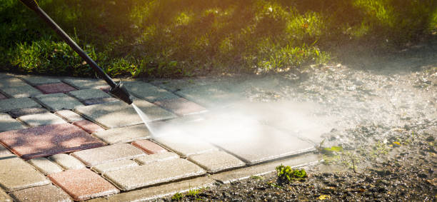 Best Fence Cleaning  in Raymond, MS