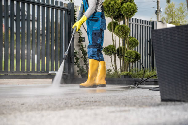 Best Roof Washing  in Raymond, MS